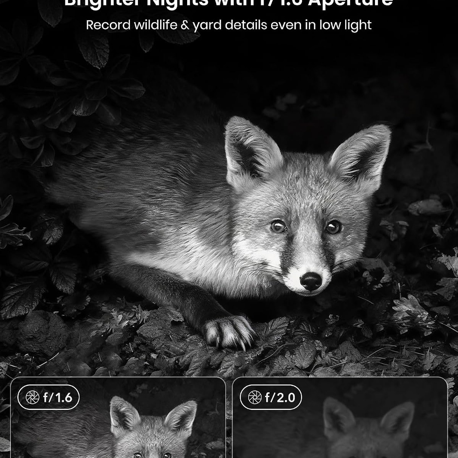 Solar Powered 4K Trail Camera with 64MP Photos and Night Vision